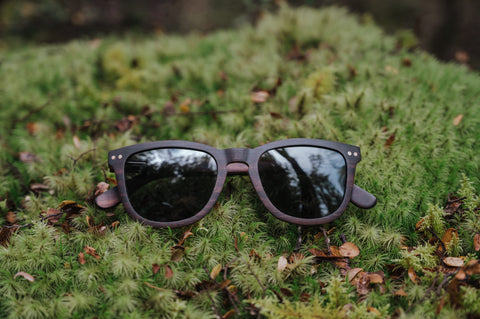 Vilo Eyewear's Sustainable Christmas